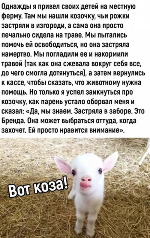 Смешная картинка №659573