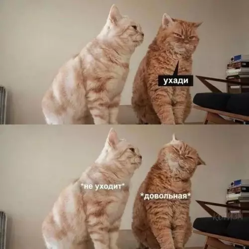 Смешная картинка №789929