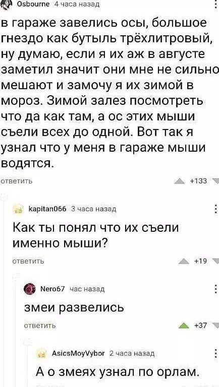 Смешная картинка №716729