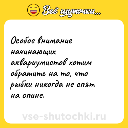 Шутка: Особое внимание начинающих аквариумистов хотим обратить на то, что рыбки никогда не спят на спине.