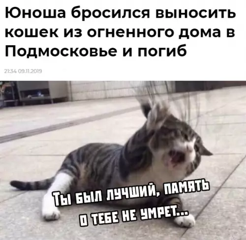 Смешная картинка №395371