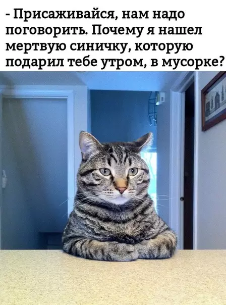 Смешная картинка №348036