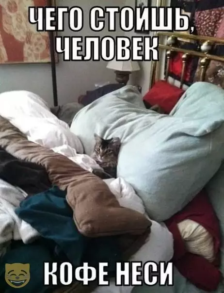 Смешная картинка №388399