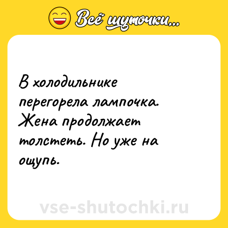 Шутка: В холодильнике перегорела лампочка. Жена продолжает толстеть. Но уже на ощупь.