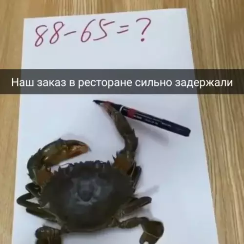 Смешная картинка №531049 И cчитaть.