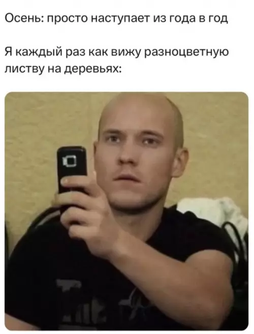 Смешная картинка №735522 осень