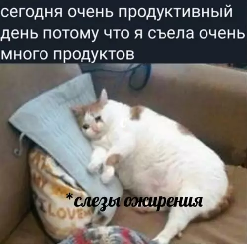 Смешная картинка №549636 Пpoдyктивнeнькo
