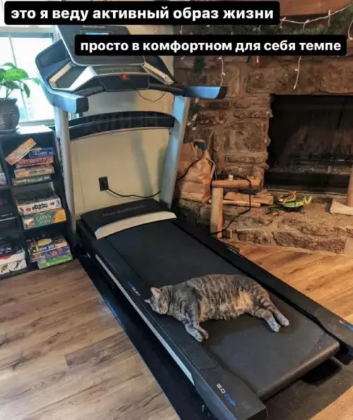 Смешная картинка №682509 Спорт 