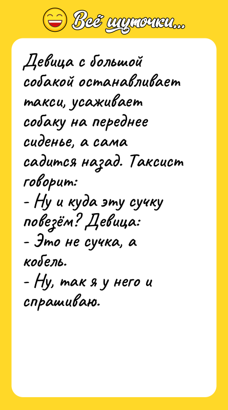 Девица с большой собакой останавливает такси, усаживает собаку на переднее