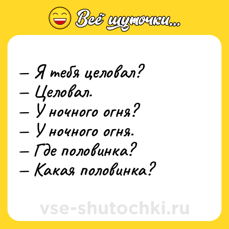 Шутка: — Я тебя целовал? <br>— Целовал. <br>— У ночного огня? <br>— У ночного огня. <br>— Где половинка? <br>— Какая половинка?
