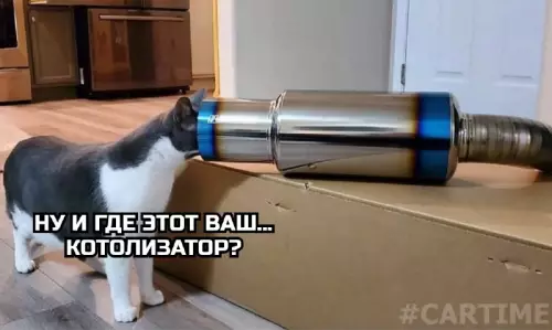 Смешная картинка №763204