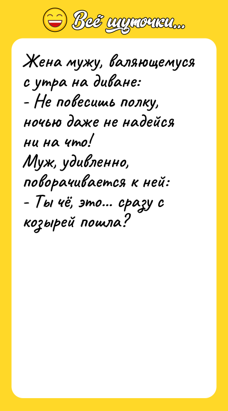 Жена мужу, валяющемуся с утра на диване: - Не повесишь