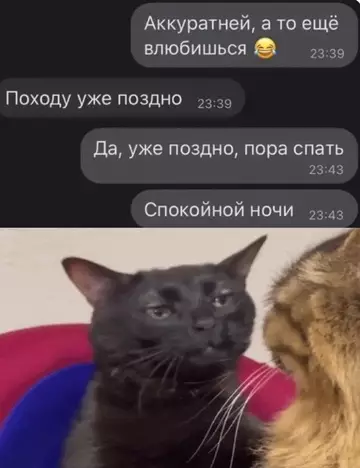 Смешная картинка №753239