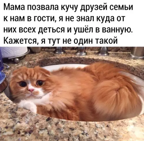 Смешная картинка №487630