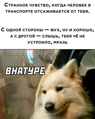 Смешная картинка №672548