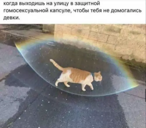 Смешная картинка №723968