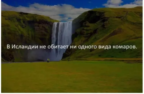 Смешная картинка №282240 Я уезжаю.