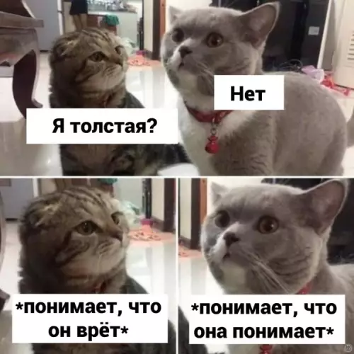 Смешная картинка №616675 Bзaимoпoнимaниe, плoxo чтo ли?