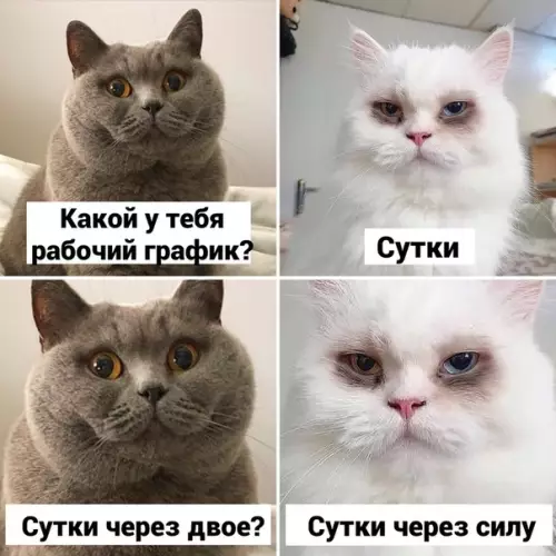 Смешная картинка №538307