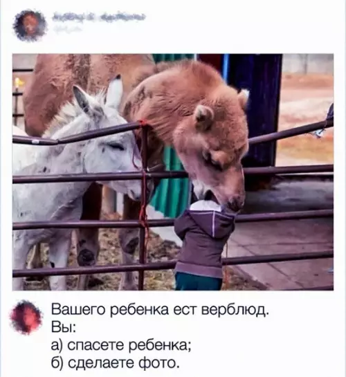 Смешная картинка №352568 животные