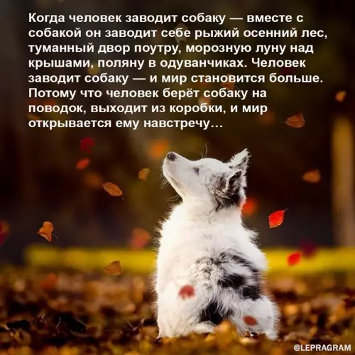 Смешная картинка №662273