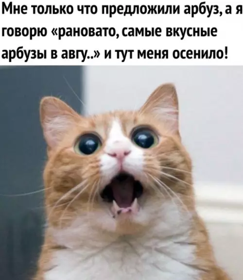 Смешная картинка №293259 Лето
