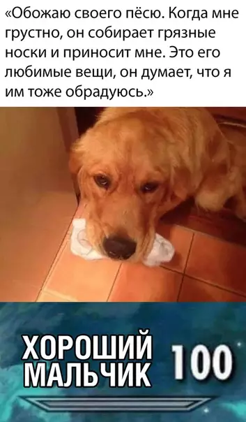 Смешная картинка №464816