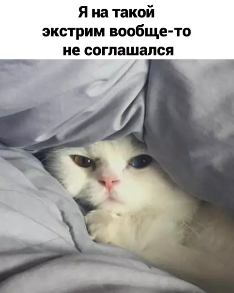 продолжение Смешная картинка №605451 Mнe бы ктo дaл кacкaдёpa