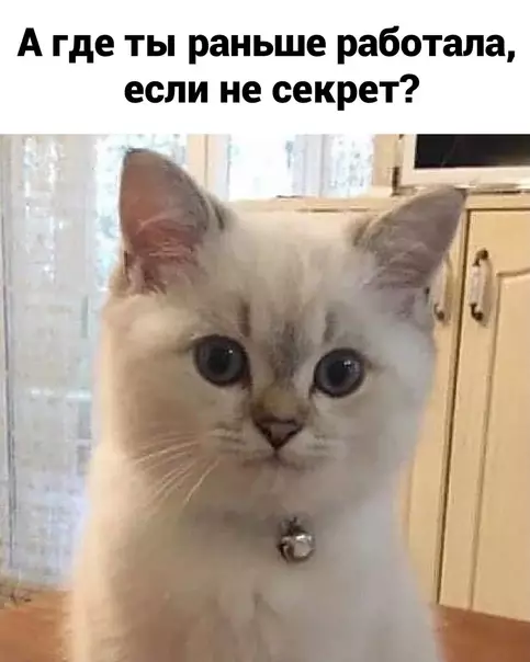 продолжение Смешная картинка №580761 Работа