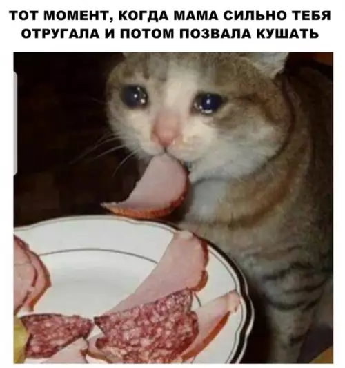 Смешная картинка №291378