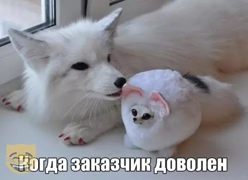 Смешная картинка №343498 #приколы #картинки #мемы ?