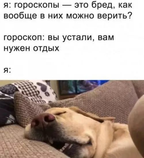 Смешная картинка №758213 гороскопы