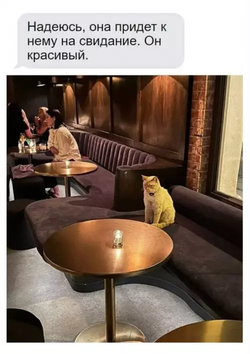 Смешная картинка №788857