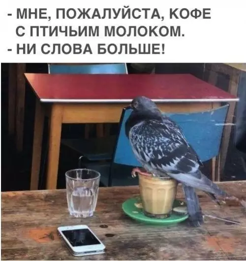 Смешная картинка №311611 Свежайшее?