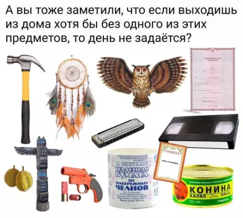Смешная картинка №742792 Все нужное