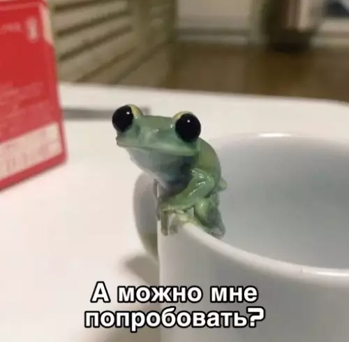 Смешная картинка №690321 Она: заказывай только себе, я ничего есть не буду

Также она через 5 минут: