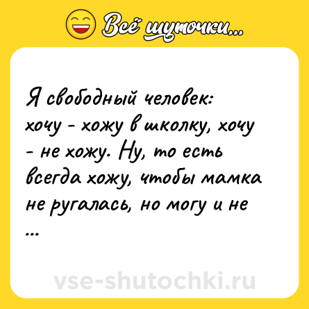 Шутка: Я свободный человек: хочу - хожу в школку, хочу - не хожу. Ну, то есть всегда хожу, чтобы мамка не ругалась, но могу и не пойти если чё.