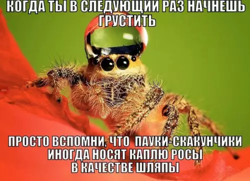 Смешная картинка №215843