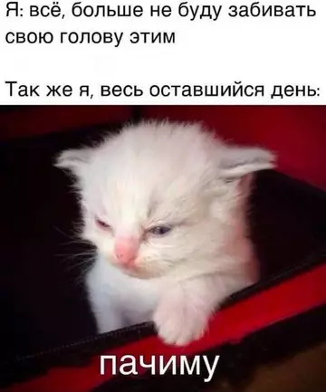 Смешная картинка №754300