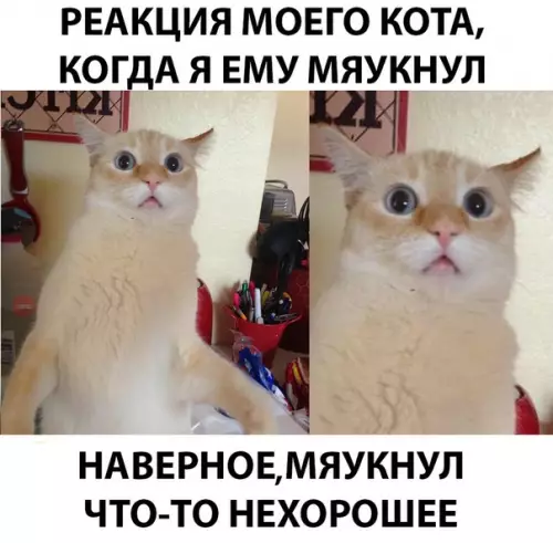 Смешная картинка №288083
