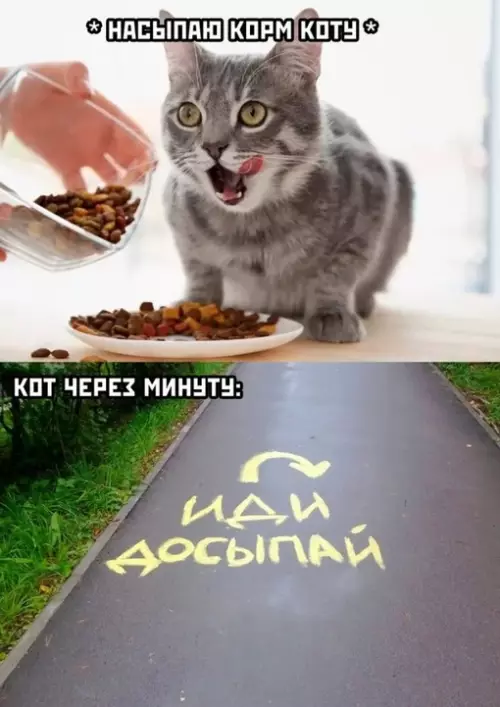 Смешная картинка №680504