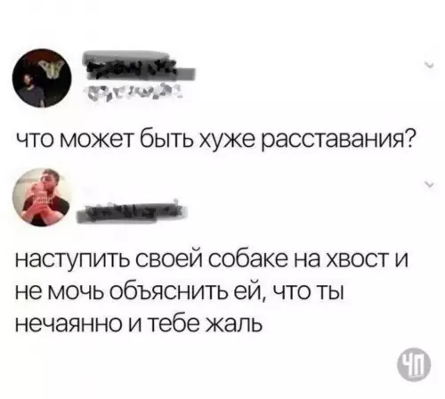 Смешная картинка №646853 Собачники поймут)