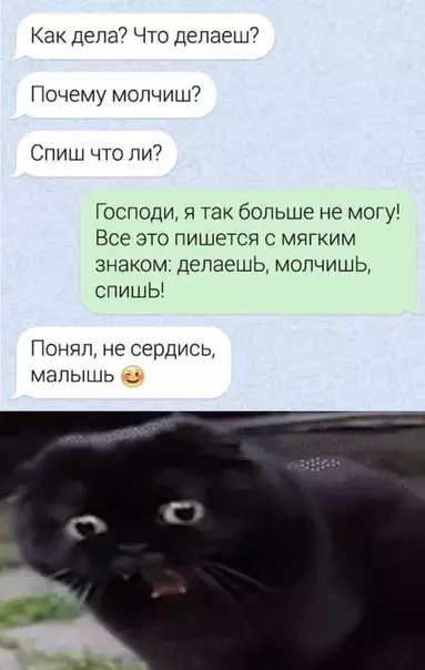Смешная картинка №494221