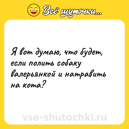 Шутка: Я вот думаю, что будет, если полить собаку валерьянкой и натравить на кота?