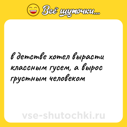 Шутка: в детстве хотел вырасти классным гусем, а вырос грустным человеком