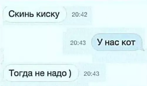 Смешная картинка №737658 А кот чем не угодил  переписка