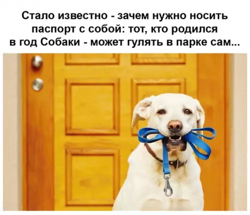 Смешная картинка №486745 Теперь всё ясно.