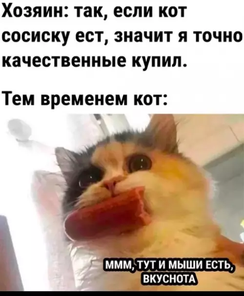 Смешная картинка №688165