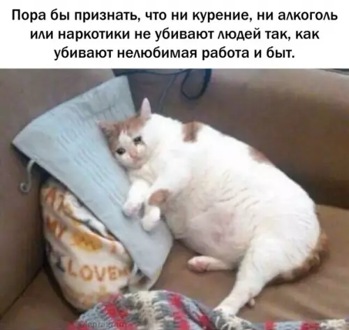 Смешная картинка №386032 Пожалуй, самые вредные привычки