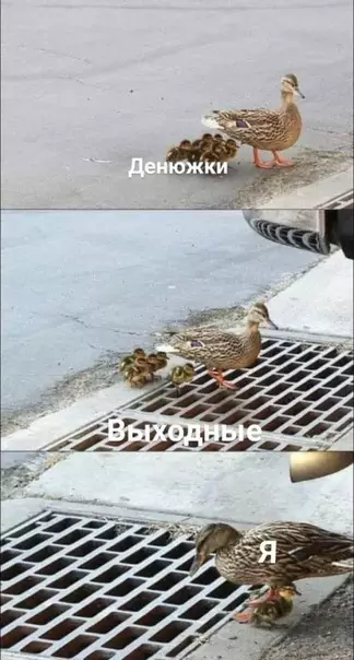 Смешная картинка №392329 Больно